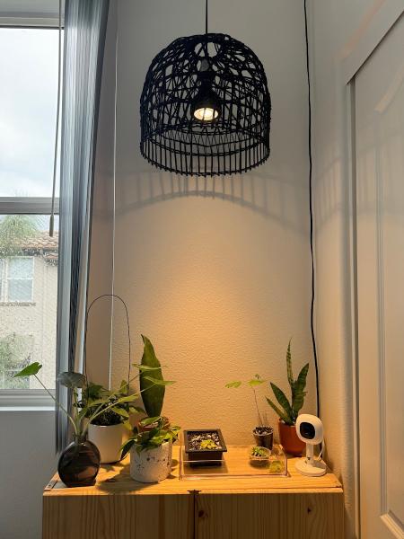 Soltech Electric