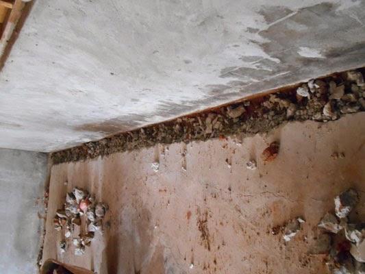 Black's Foundation Waterproofing