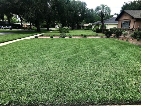 Miguel's Landscape & Maintenance LLC