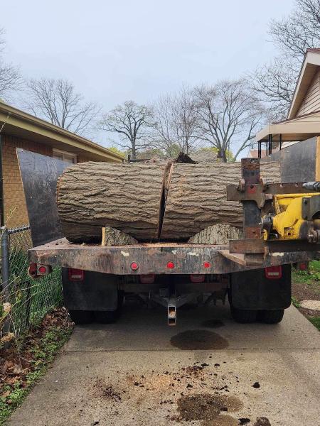 Danny's Tree Services LLC