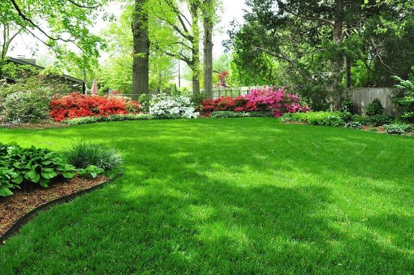 Precision Lawn Irrigation