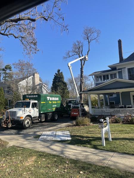 Tomax Tree Service