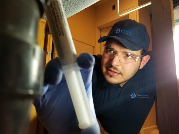 Wolf Bed Bug Exterminator
