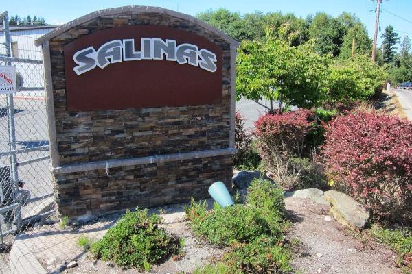 Salinas Construction Inc.