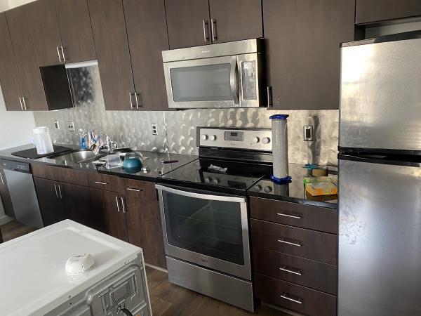 Lion Tech Home Services
