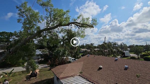 Jacob Gilliam Tree Care