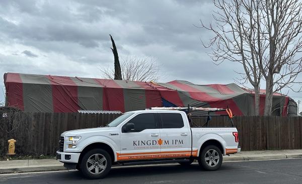 Kingdom IPM