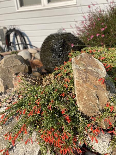 JRM Landscape & Design