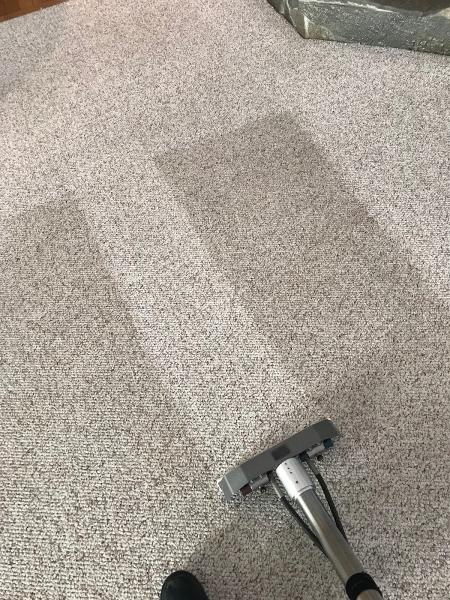 Carter's Carpet Restoration El Dorado Hills