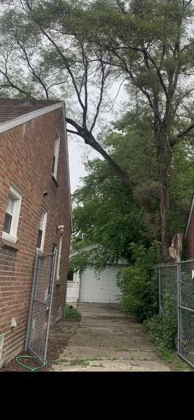 Da' Treeman Tree and Bush Removal (Black Owned)