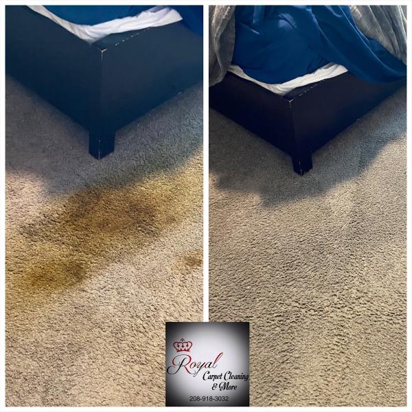 Royal Carpet Cleaning & More