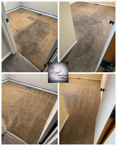 Royal Carpet Cleaning & More