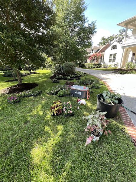 David Martínez Landscaping
