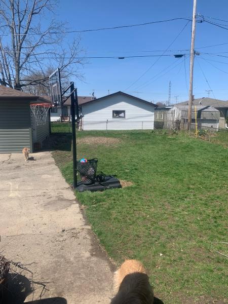 Eagle Tree Service Inc.