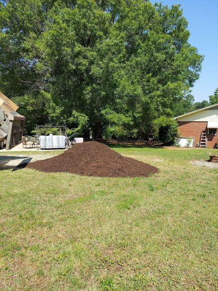 T K Cleaning & Lawn Services