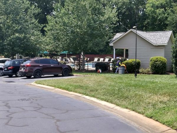 T K Cleaning & Lawn Services