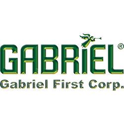Gabriel First Corporation