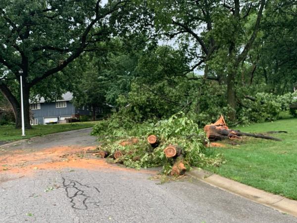 Eden Tree Service