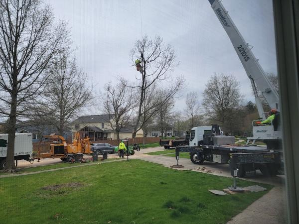 New Heights Tree Services LLC