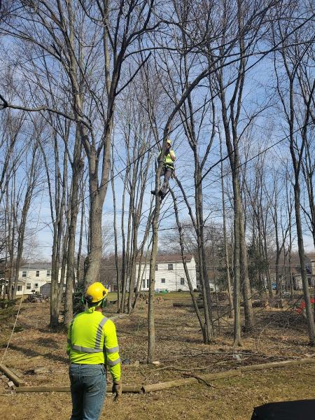 New Heights Tree Services LLC