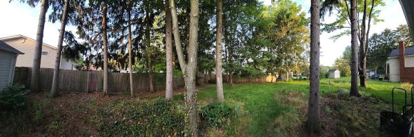 New Heights Tree Services LLC