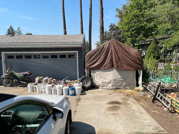 Curtis Point Tree Service