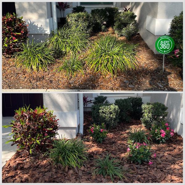 Landscape Rescue & Lawn Maintenance LLC