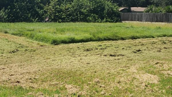 Landscape Rescue & Lawn Maintenance LLC