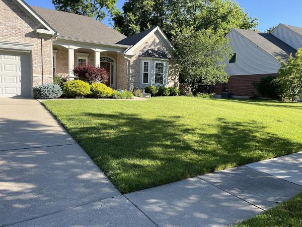 Paramount Lawn + Landscape