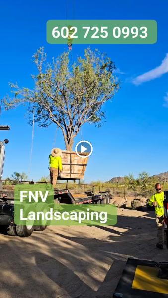 FNV Landscaping