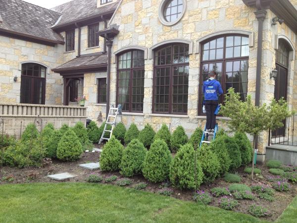 Veco Window Washing and Gutter Cleaning