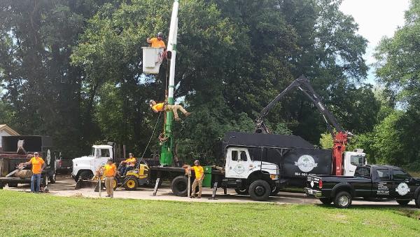 Arbor Master Tree Care LLC