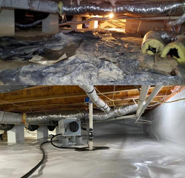 Seaside Crawl Space