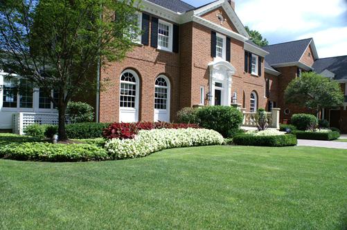 Superior Lawn Care
