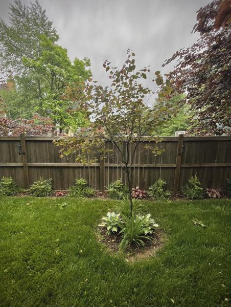Complete Lawn Care