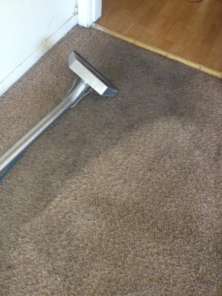 A Spotless Carpet Cleaning