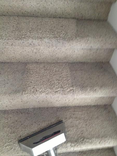 A Spotless Carpet Cleaning