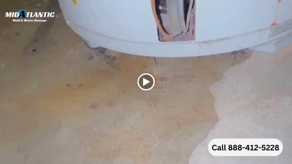 Midatlantic Mold and Water Damage
