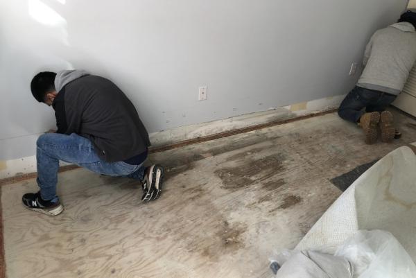 Midatlantic Mold and Water Damage