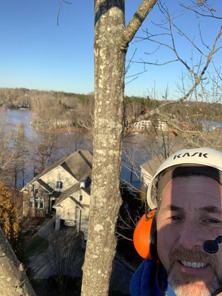 Niwaki Tree Service