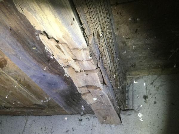 Murphy Home Inspection