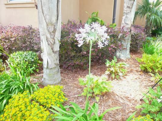 Curb-A Garden Landscape
