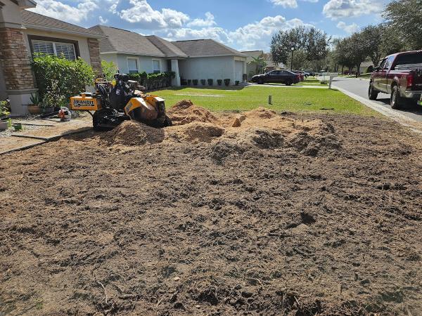 Rise N Grind Stump Removal