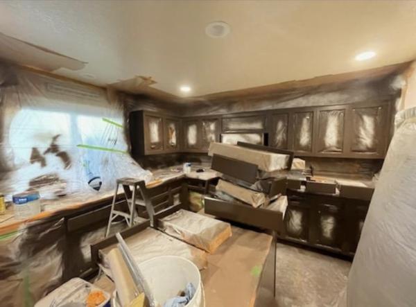 Pro Plastering Painting and Remodeling