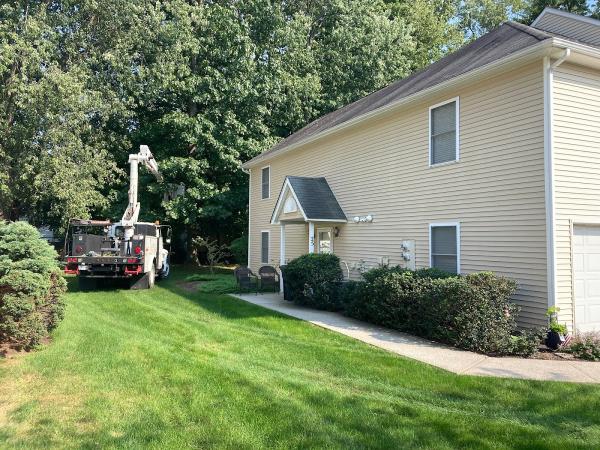 Whitetail Landscaping and Tree Service