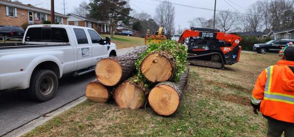 Reyes Atlanta Tree Service LLC