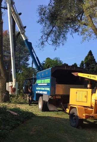 I.M. Good Tree Service