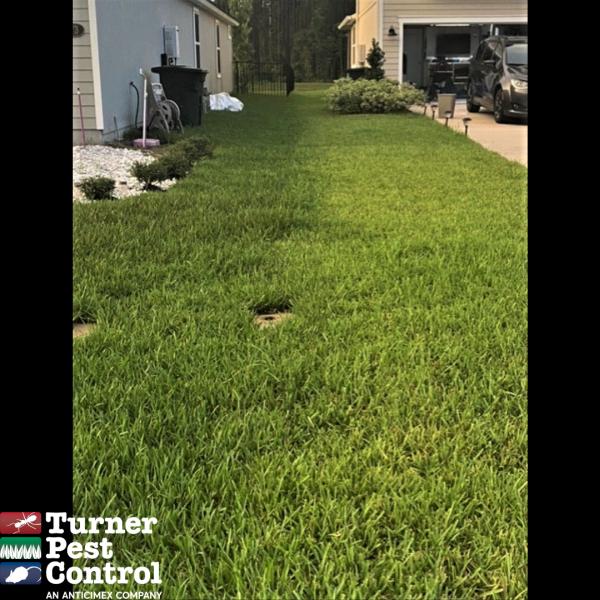 Turner Pest Control
