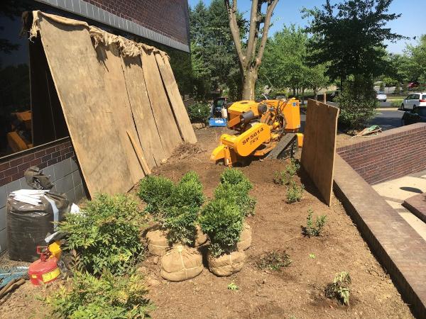 Arborwood Tree and Lawn Care