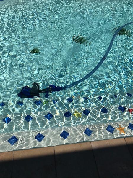 Argallo's Pool Service